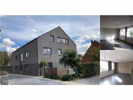 appartement à louer à sijsjesstraat 8 mol (rbv84240)