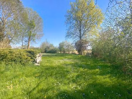 vente terrain à montjean-sur-loire (49570) : à vendre / montjean-sur-loire