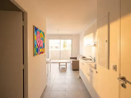 grand t2 avec terrasses