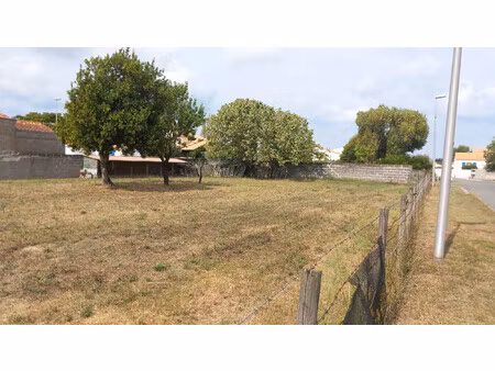 terrain constructible