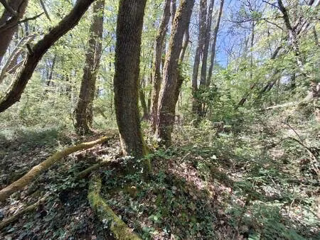 terrain à vendre