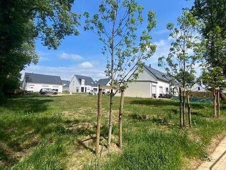 vente terrain à pluvigner (56330) : à vendre / 305m² pluvigner