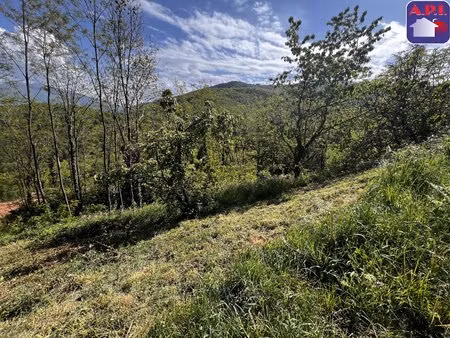terrain
