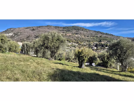 superbe terrain - 1002m2 - vence