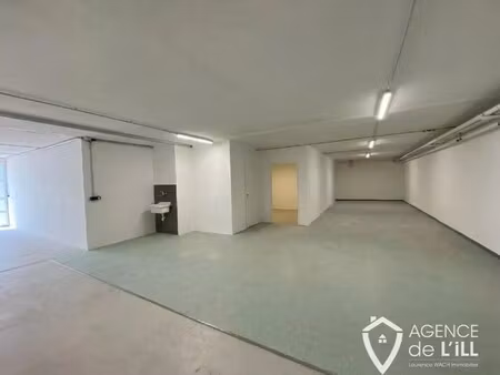 location entrepôt selestat 67600 225m²