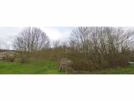 diverses parcelles en nature de terre et taillis à leigne les bois