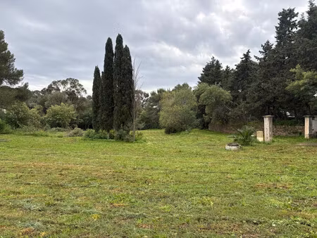 vente terrain