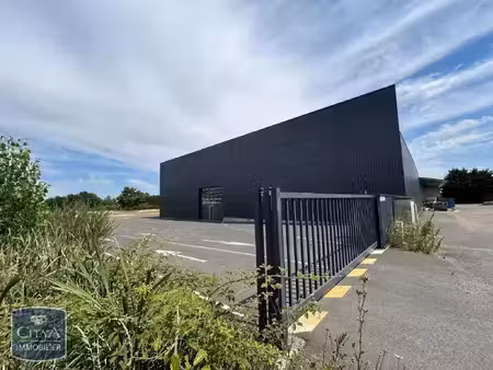 local commercial à louer 3000 m² - champdieu (42) - 9 800€
