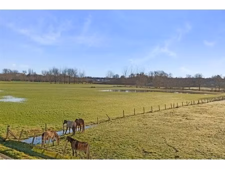 gezellig gerenoveerde woning op unieke locatie