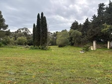 terrain de 1731 m2 en vente - la croix-valmer  provence-alpes-côte d'azur