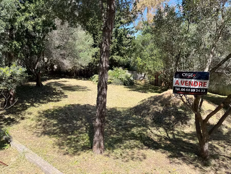 terrain - 713 m²