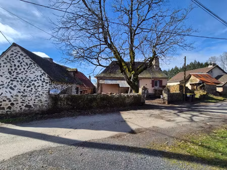vente maison 60 m2 à orgnac-sur-vézère