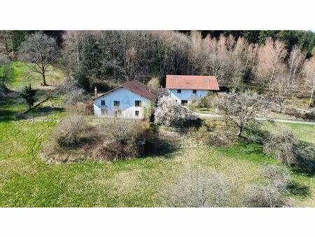 achat maison 9 pièces 550m² remiremont 88200