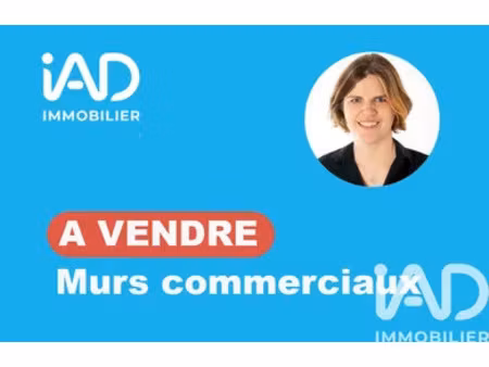 murs commerciaux à auxerre (89000)
