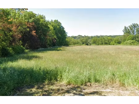 vente terrain 1100 m² coutras (33230)