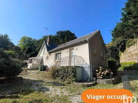 vente maison viager à joué-lès-tours (37300) : à vendre viager / 110m² joué-lès-tours