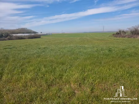 achat terrain 3 243m² montreuil 85200