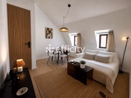 appartement 1 pièce - 25 m²