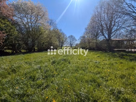 terrain - 2241 m²