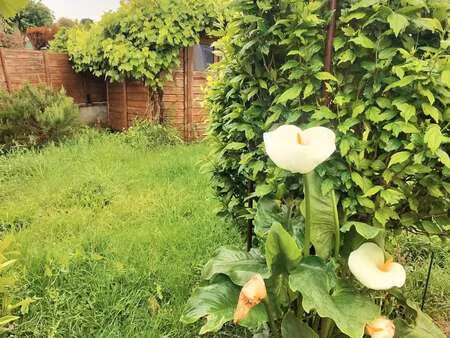 vente maison à quimper (29000) : à vendre / 90m² quimper