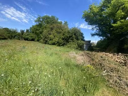 vente terrain à languidic (56440) : à vendre / 1000m² languidic