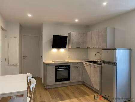 hoenheim - appartement 2p meublé rénové - 30 m2 - cuisine éq