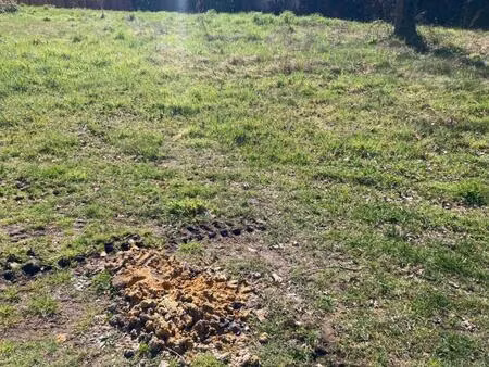 vente terrain à construire 520 m² belin-béliet (33830)