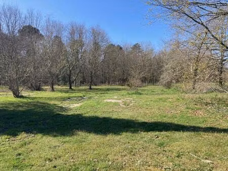vente terrain à construire 610 m² biscarrosse (40600)