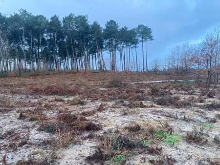 vente terrain à construire 375 m² gastes (40160)