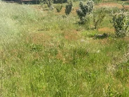 vente terrain à construire 400 m² hostens (33125)