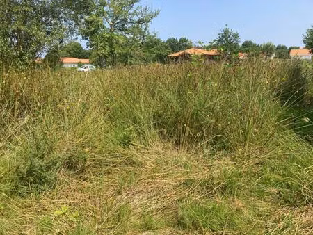vente terrain à construire 680 m² lugos (33830)