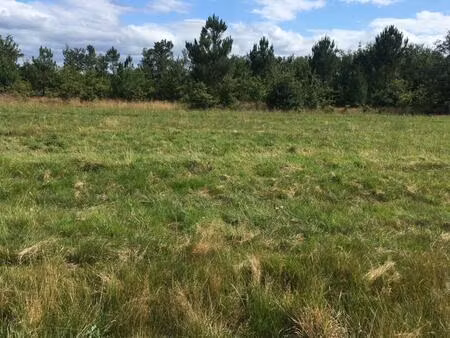 vente terrain à construire 1300 m² moustey (40410)