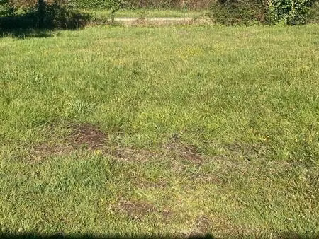 vente terrain à construire 590 m² parentis-en-born (40160)
