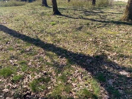 vente terrain à construire 740 m² salles (33770)