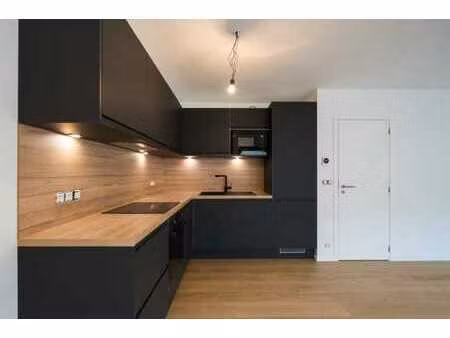 centre ville  charmant appartement totalement rénové  peb a