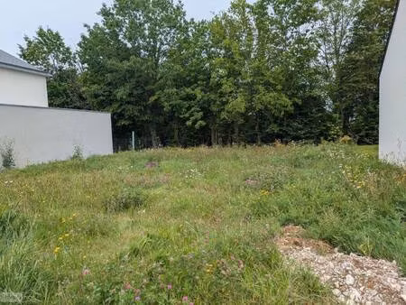 terrain constructible viabilisé à vendre