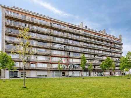 appartement à vendre à merksem € 185.000 (lnyur) - dewaele - merksem | zimmo
