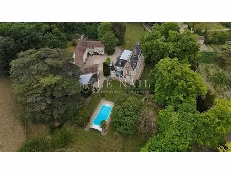 château à vendre à chinon