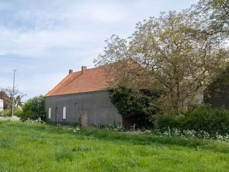 maison à vendre à maaseik € 320.000 (lny3j) - charly van cauwelaert | zimmo