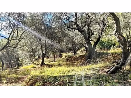 rare terrain constructible plein sud