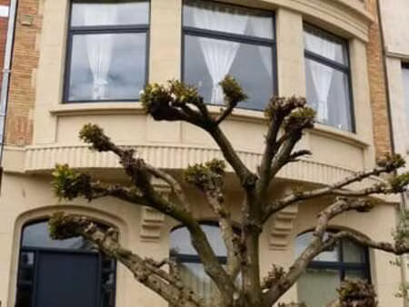 appartement 1 ch à louer  schaerbeek  avenue ernest cambier