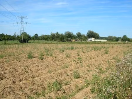 terrain à vendre à eppegem € 36.000 (lnzdc) - | zimmo