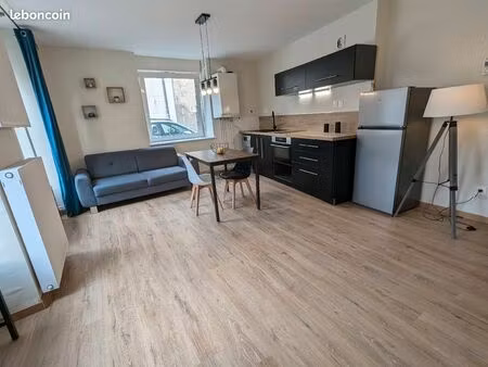 ? appartement t2 – 50m² – rdc – charmes (88)