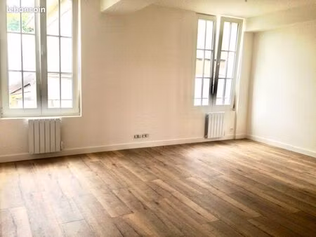 appartement hyper centre ville f2