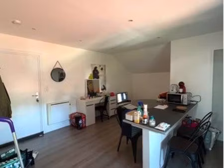 appartement f1 bis de 36 m² – cuisine rénovée – parking & grande cave