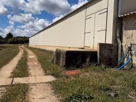 à louer – hangar de stockage 800 m²