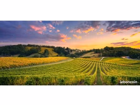 location vignes fermage bordeaux superieur