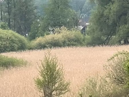 terrain à louer