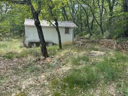 terrain de loisirs avec cabanon