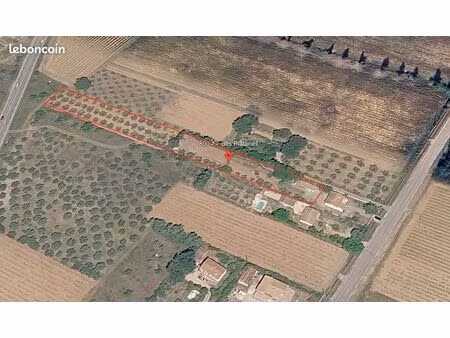 terrain 4283 m² la fare les oliviers